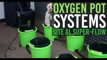 How to Setup OxygenPot System (Ebb & Flow)