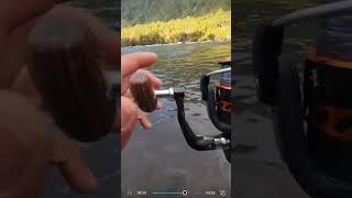 Muchos piques de salmon #chinook  🎣👌. Entretenida tarde de #pesca 🐟🏔