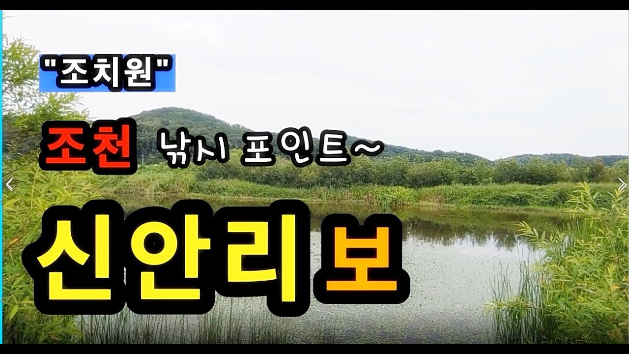 [세종]_ 조천 신안리보 / 주차 편하고 낚시 편한 곳 / 서창역 포인트 / 세종시 조치원읍 신안리 53-8