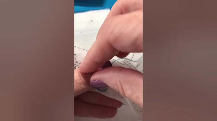 Outline Stitch According to the Plaid / Bucilla In...