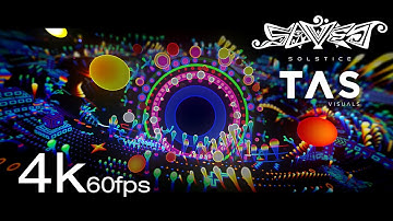 4K 🔥 Savej - Solstice (Track) x TAS Visuals