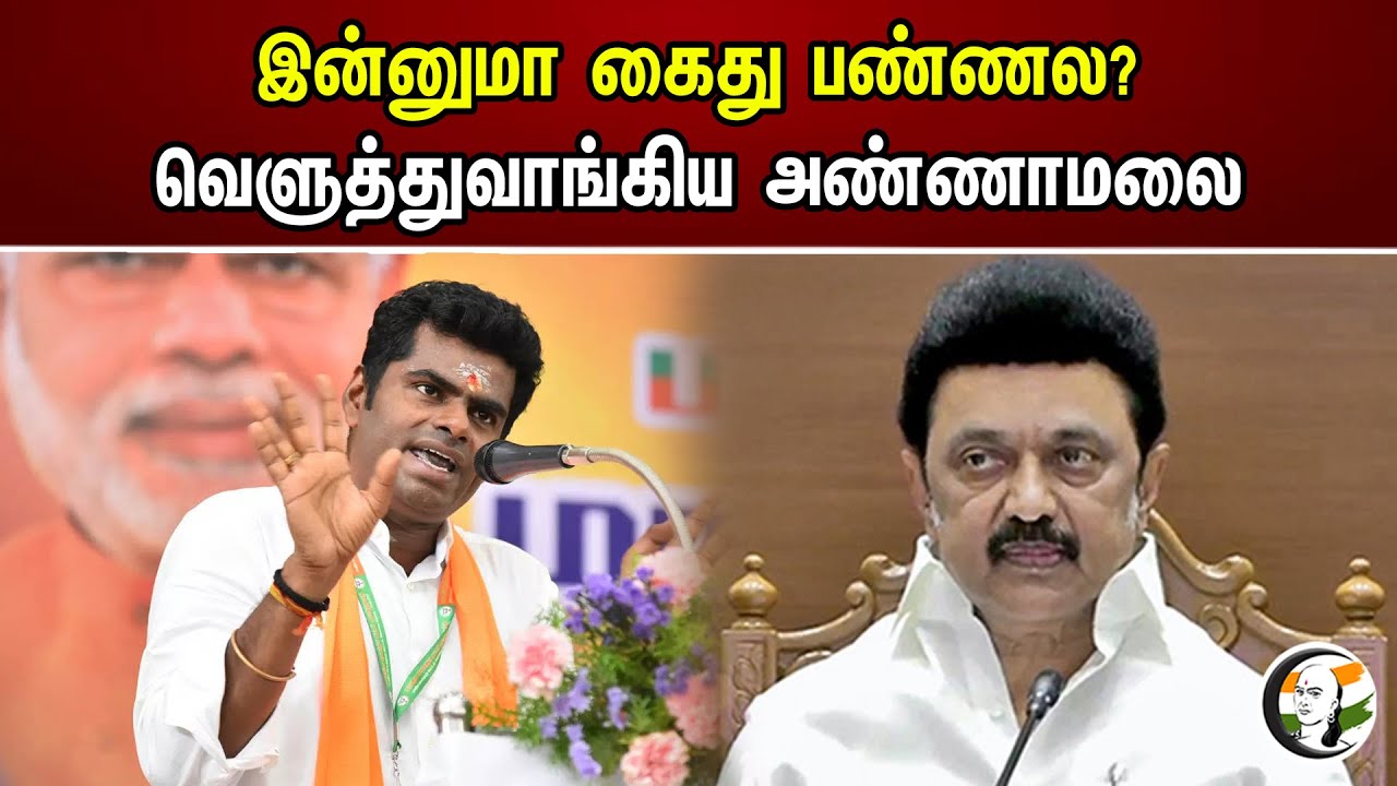 இன்னுமா கைது பண்ணல? வெளுத்துவாங்கிய அண்ணாமலை | Annamalai | MK Stalin