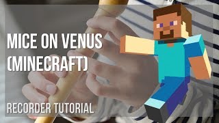 How to play Mice on Venus (Minecraft) by C418 on Recorder (Tutorial)