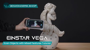 Einstar Vega - Scan Objects with Mixed Features Tutorial