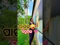 10 Tanka re ମିଳୁଚି ? 😱🧼