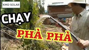 ĐIỆN NĂNG LƯỢNG MẶT TRỜI ỨNG DỤNG TRONG NÔNG NGHIỆP-Sử dụng cho" MÁY BƠM NƯỚC" KHÔNG CẦN ĐIỆN LƯỚI !