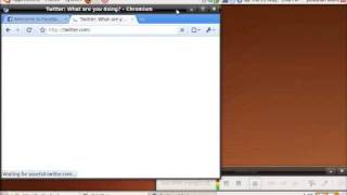 Demo: Chromium (alpha) in ubuntu 9.04 screenshot 5