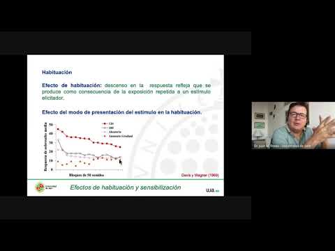 Video: ¿Es específico el estímulo de habituación?