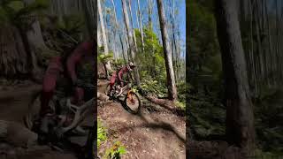 Red Bull Hardline Crash Jackson Goldstone Tasmania 2024