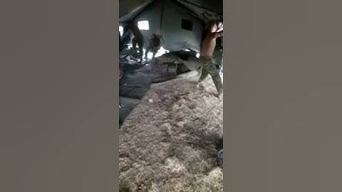 It Got Very Windy On The Army Base Yesterday