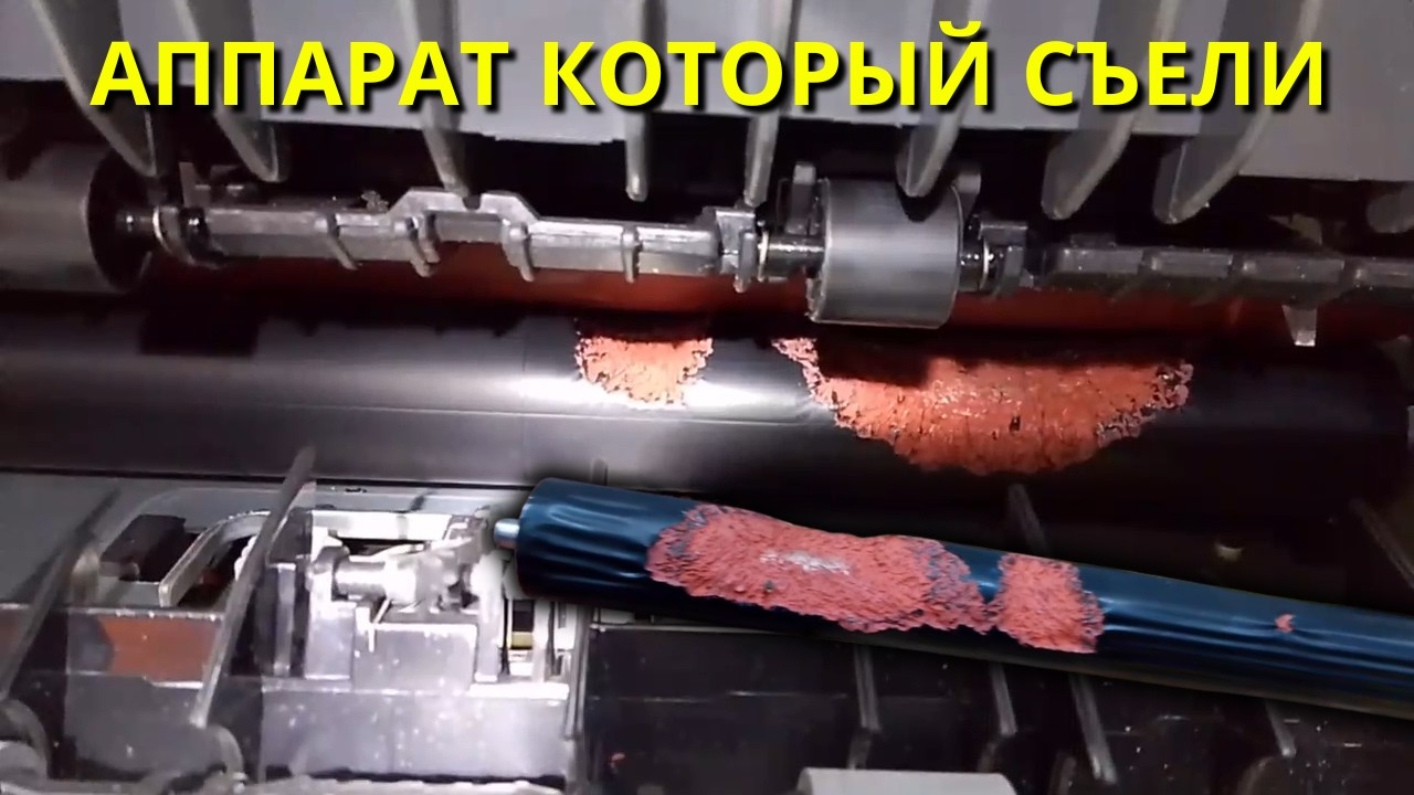 Аппарат, который съели в прямом смысле! Pantum BM5100. Слабонервным смотреть не рекомендуется!