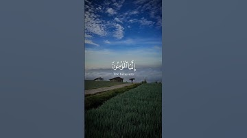 شريف مصطفى - سورة الأنفال