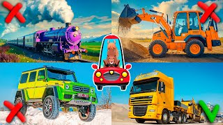 🔴Учим Цвета и Звуки транспорта для детей | Learning Colors and Sounds of Transport for Kids.