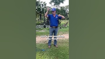 Quick Tips On Transitioning From A Halter To A Bit! Part 4!  | The Horse Guru - Michael Gascon