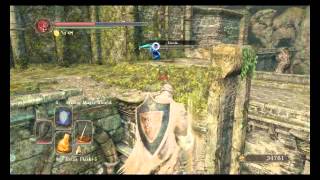 Dark Souls 2 Abuse