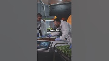 Future Job Alert: Climate Adaptation Specialist!