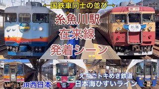 【珍客登場！】糸魚川駅 在来線ホーム 発着シーン