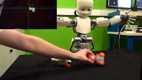 Learning to recognize objects through curiosity-driven manipulation