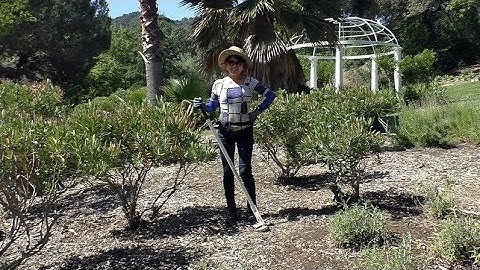 How to uproot roots with Pullerbear