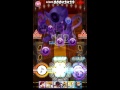 [SB69]knocking' the next-door/シンガンクリムゾンズ