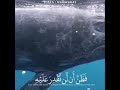 القران ربيع القلب القران ربيع القلب