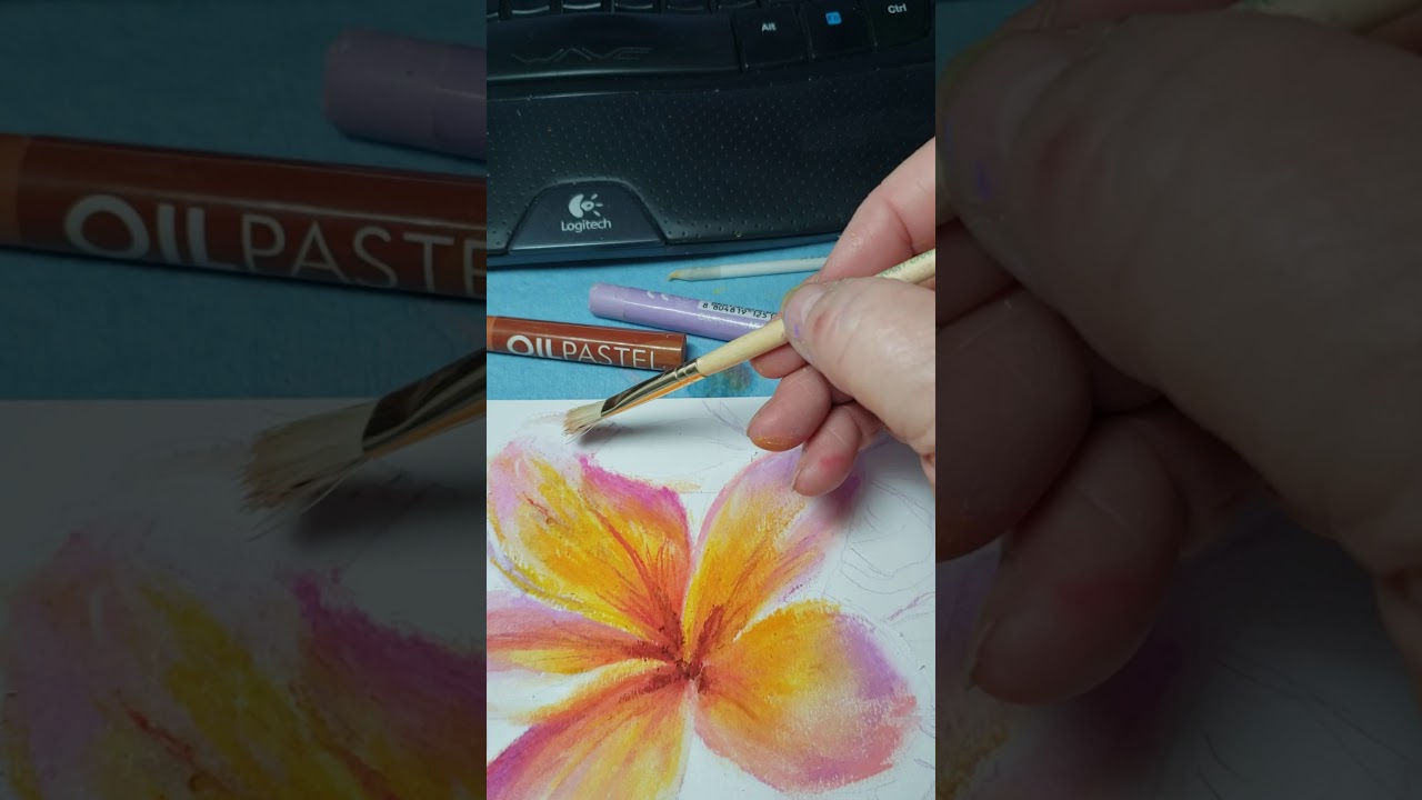 Oil pastels: Painting Materials and Supplies for beginners 