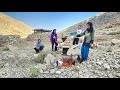 Nomadic Life: Building a Safe Shelter for Chickens by Hardworking Nomadic Girls of Iran