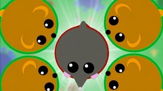 AGAR.IO WITH BEARS!! | Mope.io Massive Update | CRAZY LEADERBOARD GAMEPLAY!!! @MasterOvFamily