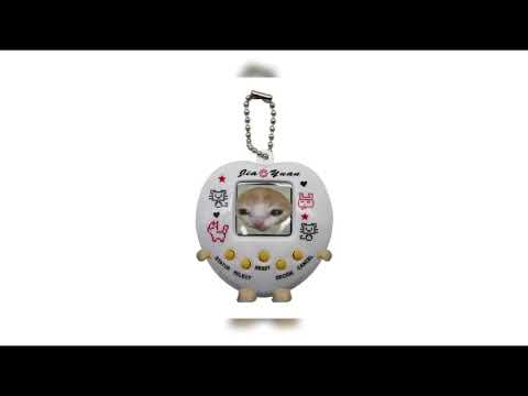 Baila esta cumbia (Sped up)