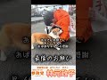 参政党公認 和歌山1区林元政子