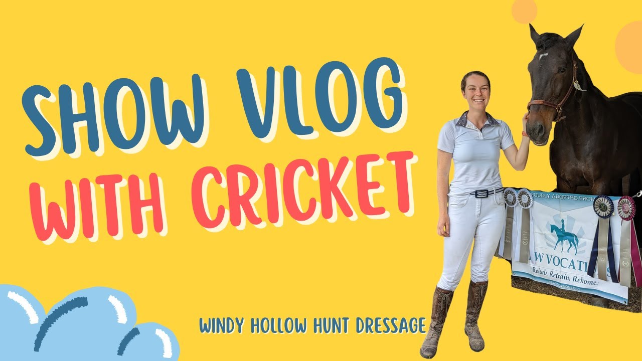 Dressage Show Vlog with my Standardbred