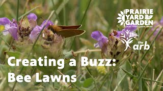 Creating a Buzz: Establishing a Bee Lawn - Ask the Arboretum Experts