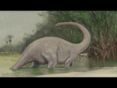 Video: Jesu li dinosauri izumrli?