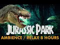 Relax in jurassic park 8 hours black screen  ambiencedinosaursrain