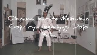 Okinawa Karate Meibukan Goju Ryu Ikemiyagi Dojo Italia Ukemi Waza Mae Ukemi