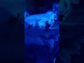 Cena épica rolando no meio da jogatina! #miniature