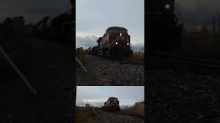Cp 8804E Leads Cpkc 118 - 18.