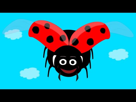 The Ladybird Song