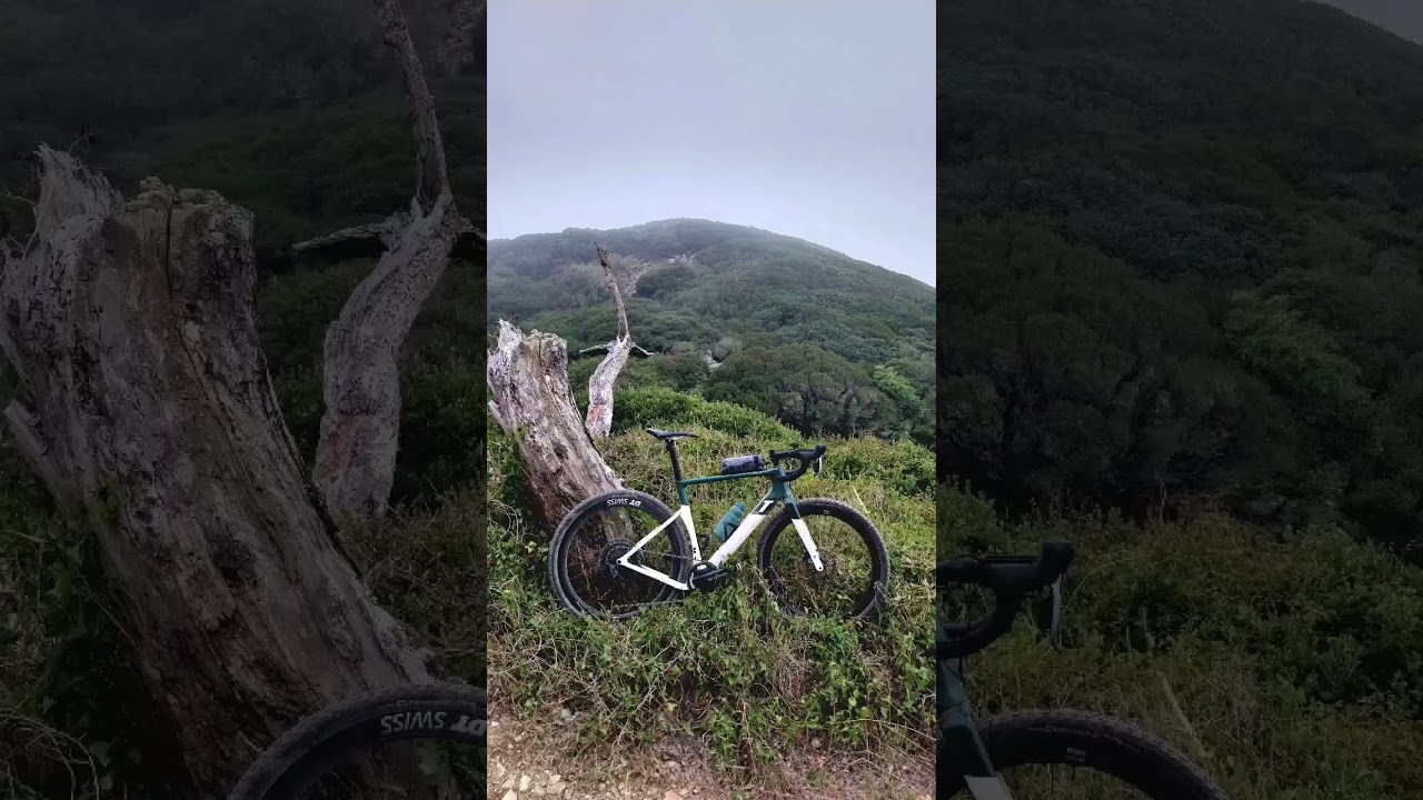 Everyone is loving this new Lead Out! Top Tube Bag  