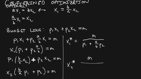 Consumer Choice with Leontief Preferences