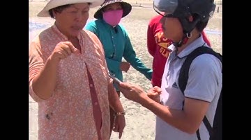 Video Người dân chung sức giải cứu cá heo mắc cạn