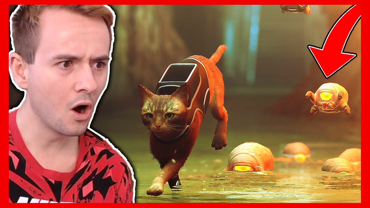 NAŠEL JSEM LÍHEŇ KOČIČÍCH PIJAVIC!😨 #3