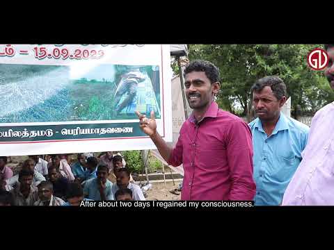 Cattle farmers protest against injustice and the destruction of their livelihood | Siththandi