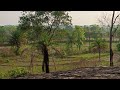 খুব সুন্দর একটা বিকাল ।। চারপাশে সবুজ  একটা পরিবেশ