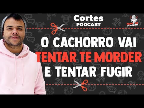 Vídeo: Como conseguir um emprego como um groomer Dog