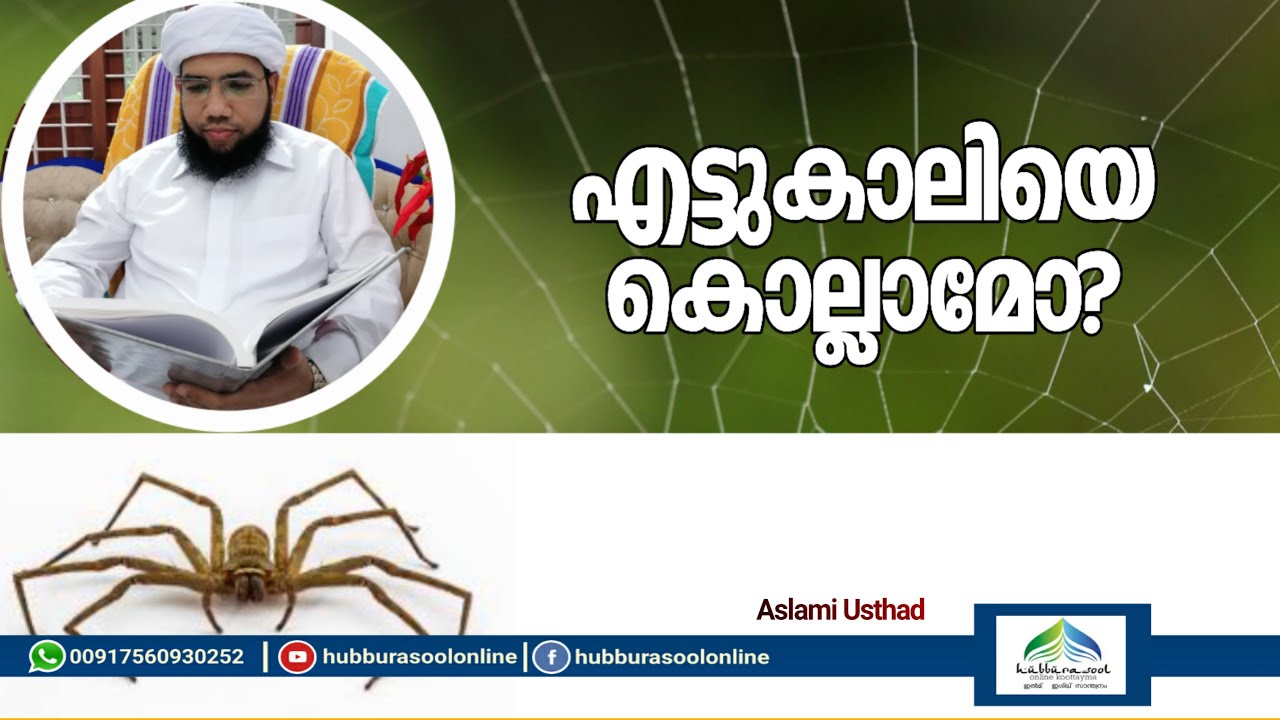 എട്ടുകാലി | Spider | എട്ടുകാലിയെ കൊല്ലാമോ? | Latest Speech | Aslami Usthad | Hubburasool Online