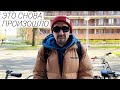 Менеджеры мешают программистам