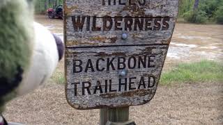 Backpacking the Kisatchie Hills Wilderness...Backbone trail...with Ranger Kooky   pt 3