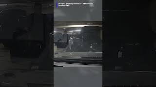 Police shot during 'horseplay'