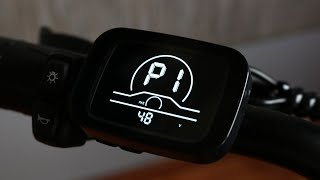 Engwe M20 - Hidden P Settings